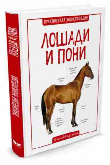 Книга Лошади и пони 50 шагов в мир знаний (Бедуаер К.), б-10566, Баград.рф